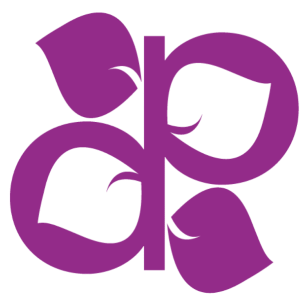 PURPLE PROFESSIONAL