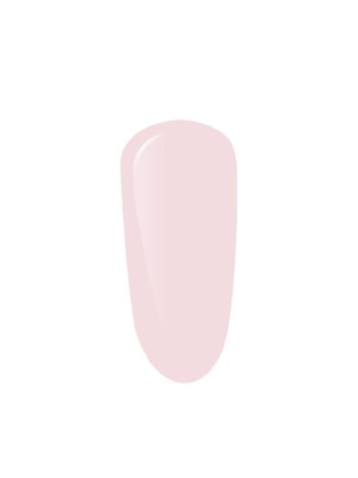 AIB-CREAM-ROSE-2.jpg