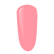 Conch-Rose-1.png