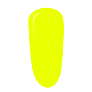 P2051-Beach-Sun-1.png