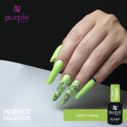 P2061-PERFECT-BRIDE_.png