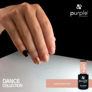 P2077-DANCE-BACHATA-2.png