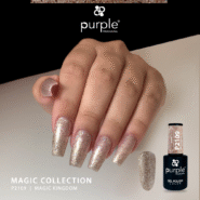P2109-Magic-Kingdom-3.png