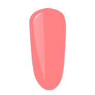 P2297.png