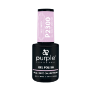 P2300-1.png
