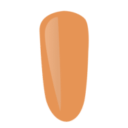 P2304-1.png