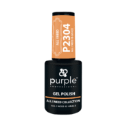 P2304-2.png