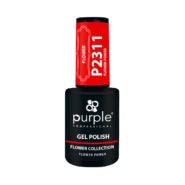P2311-2.png