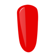 P2311-2-2.png