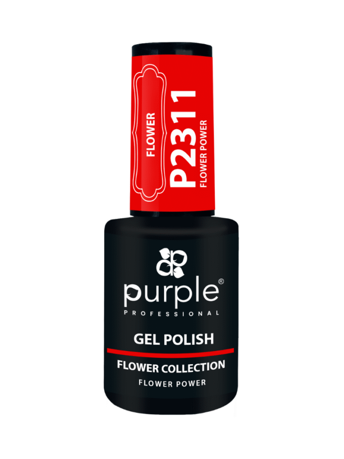 P2311-2.png
