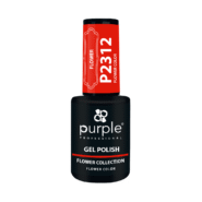 P2312.png
