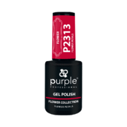 P2312-2.png