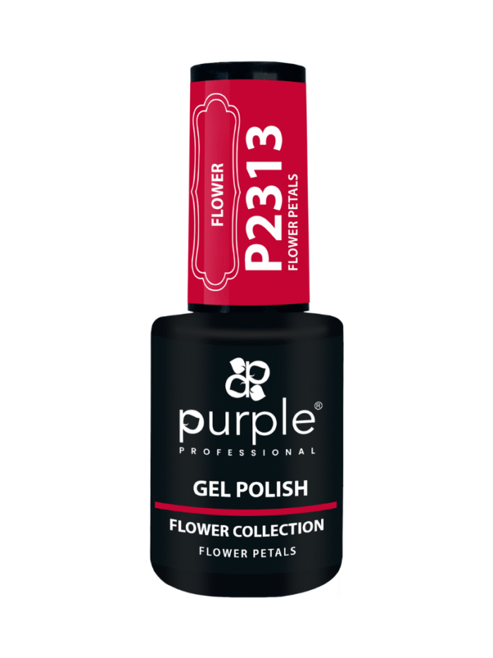 P2312-2.png