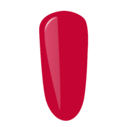 P2313-2.png