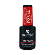P2314.png