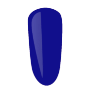 P4066.png